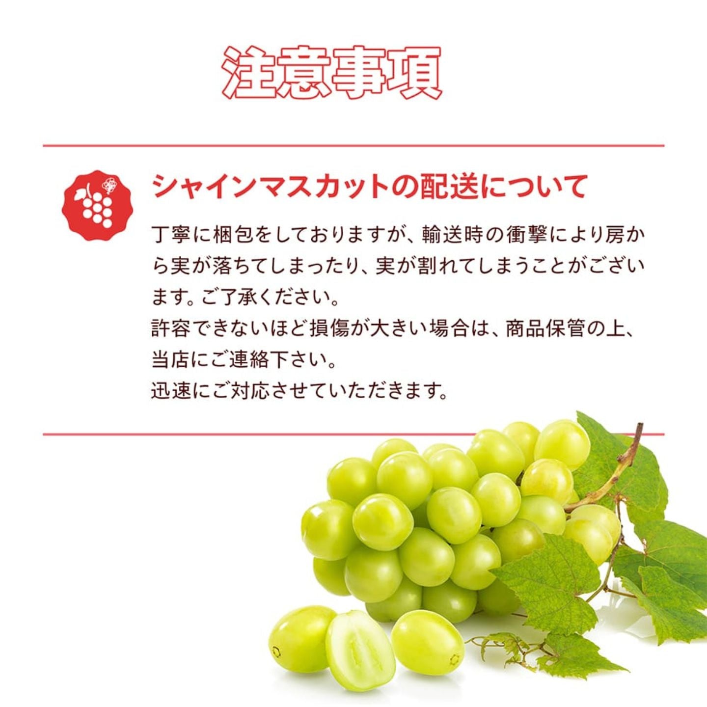 山梨のシャインマスカット 2kg(4房前後)秀品 産地直送 ぶどう